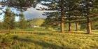 Norfolk Island Golf Clubhouse (PBH4 00 19007)